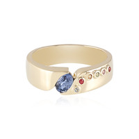 Gouden ring met een Blauwe Ceylon saffier (Adela Gold)