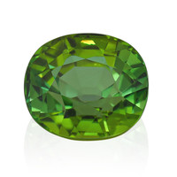 Edelsteen met een groene toermalijn 9,72 ct