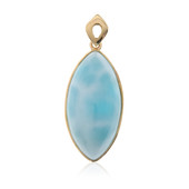 Gouden hanger met een larimar