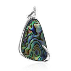 Zilveren hanger met een Abalone schelp (Art of Nature)