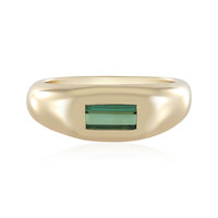 Gouden ring met een groene Benedito toermalijn (Adela Gold)