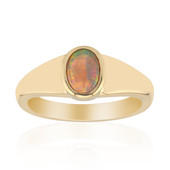 Gouden ring met een Lightning Ridge Zwarte Kristal opaal (Mark Tremonti)
