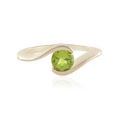 Gouden ring met een groene toermalijn (AMAYANI)