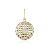 Gouden hanger met een Loepzuivere (F) Diamant (Ornaments by de Melo)