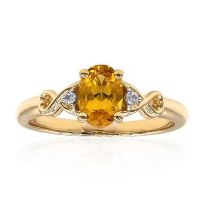 Gouden ring met een gouden beril