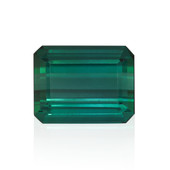 Edelsteen met een groene toermalijn 11,08 ct