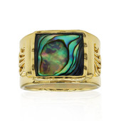 Zilveren ring met een Abalone schelp (Art of Nature)