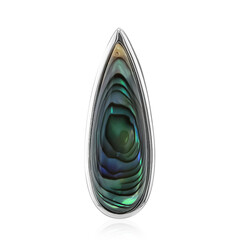 Zilveren hanger met een Abalone schelp