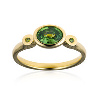 Gouden ring met een demantoid (CUSTODANA)