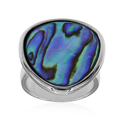 Zilveren ring met een Abalone schelp (Art of Nature)