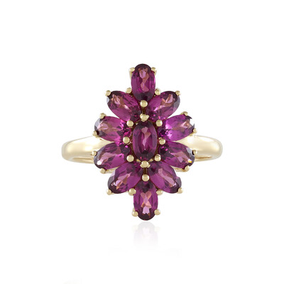 Gouden ring met magenta granaten