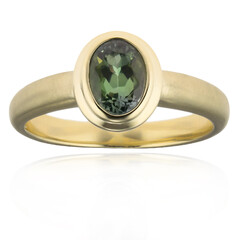 Gouden ring met een groene tanzaniet (CUSTODANA)