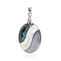 Zilveren hanger met een Abalone schelp