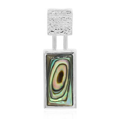 Zilveren hanger met een Abalone schelp