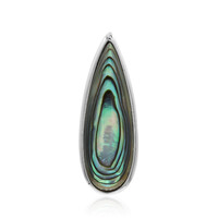 Zilveren hanger met een Abalone schelp