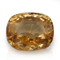 Edelsteen met een Grossulaar 7,76 ct