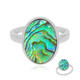 Zilveren ring met een Abalone schelp