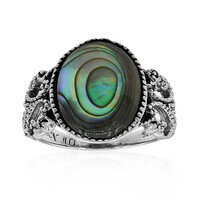 Zilveren ring met een Abalone schelp (Art of Nature)