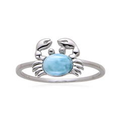 Zilveren ring met een larimar