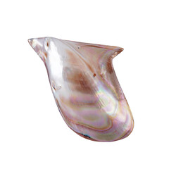 Accessoire met een Abalone schelp (Bali Barong)