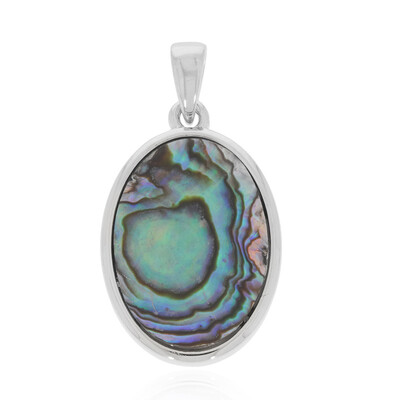 Zilveren hanger met een Abalone schelp