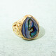 Zilveren ring met een Abalone schelp (Art of Nature)