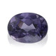 Edelsteen met een bosbes kwarts 2,95 ct