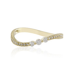 Gouden ring met een Loepzuivere (F) Diamant