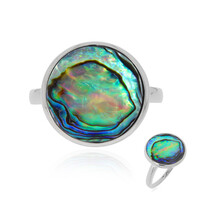 Zilveren ring met een Abalone schelp