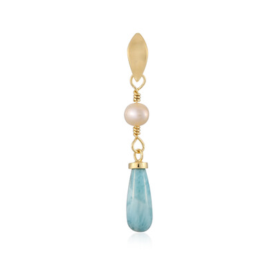 Zilveren hanger met een larimar