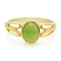 Zilveren ring met een keizerlijk chrysopraas