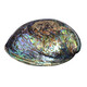 Accessoire met een Abalone schelp