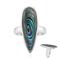 Zilveren ring met een Abalone schelp