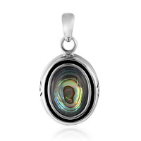 Zilveren hanger met een Abalone schelp (Art of Nature)