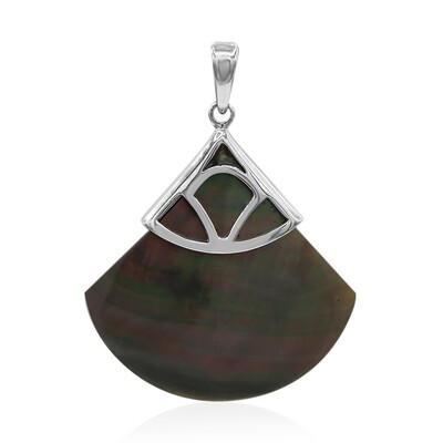 Zilveren hanger met een Abalone schelp