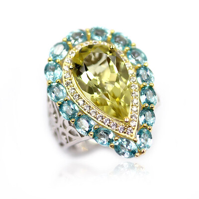 Zilveren ring met een Ouro Verde kwarts (Dallas Prince Designs)