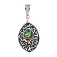 Zilveren hanger met een Abalone schelp (Art of Nature)