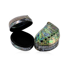 Accessoire met een Abalone schelp (Bali Barong)