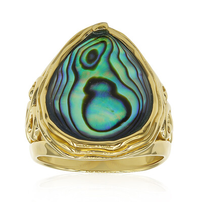 Zilveren ring met een Abalone schelp (Art of Nature)