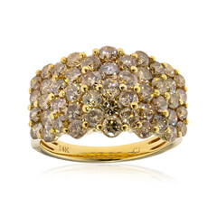 Gouden ring met SI2 Bruine Diamanten (CIRARI)