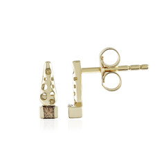 Gouden oorbellen met I2 Champagne Diamanten (Ornaments by de Melo)