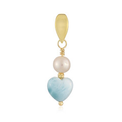 Zilveren hanger met een larimar