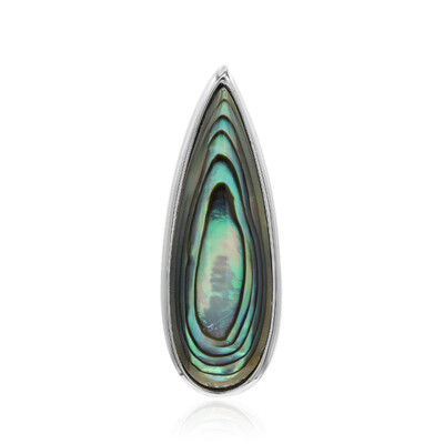 Zilveren hanger met een Abalone schelp (MONOSONO COLLECTION)