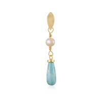 Zilveren hanger met een larimar