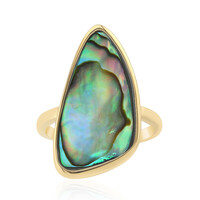 Zilveren ring met een Abalone schelp