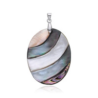 Zilveren hanger met een Abalone schelp