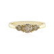 Gouden ring met een I2 Champagne Diamant (de Melo)